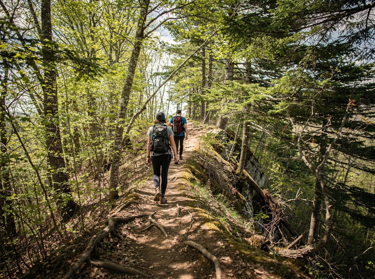 Two hikers walk a narrow forested ridge trail dappled with midday light