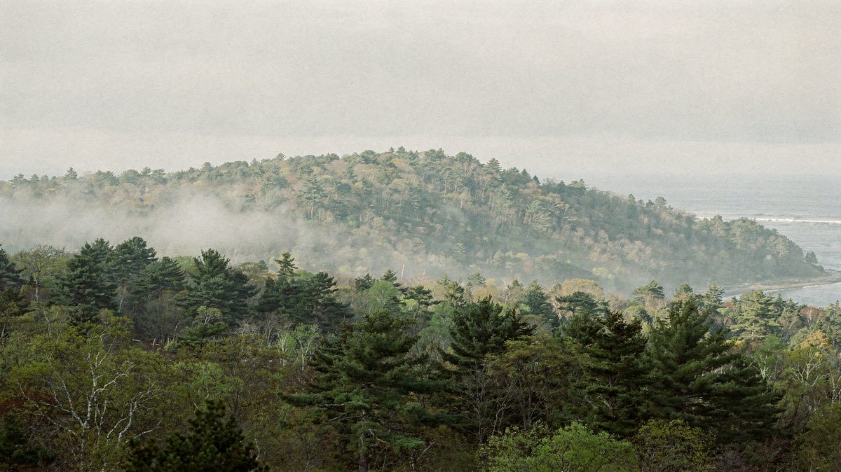 Low fog drifts over a forested ridge line at mid-morning